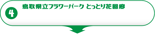 オッサンレンタカーでフラワーパーク鳥取花回廊へ